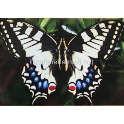 Набор Мозаика Алмазная Вышивка, Бабочка, рисунок с клеевой основой, 28×20 см, Полная выкладка