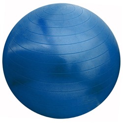Мяч для гимнастики Martin 55 см. оптом или мелким оптом
