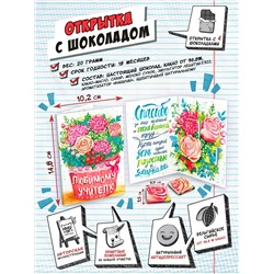 Открытка, ЛЮБИМОМУ УЧИТЕЛЮ, молочный шоколад, 20 гр., TM Chokocat