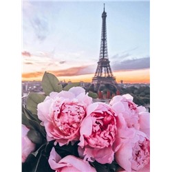 Романтика Парижа