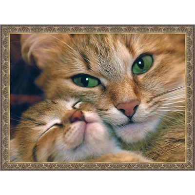Зеленоглазая кошка с котенком