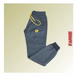 Мужские спортивные брюки Fanise 0604