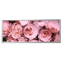 BJÖRKSTA БЬЁРКСТА, Картина с рамой, Розовый пион/цвет алюминия, 140x56 см