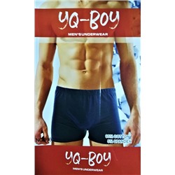 Трусы-боксеры мужские "YQ-BOY", 2 шт, арт.196
