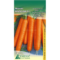 Цена за 2 пакета. Морковь Наполи F1, 0,2г (цв.) Бейо