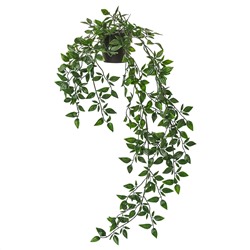 ФЕЙКА, Искусственное растение в горшке, д/дома/улицы, подвесной, 9 см