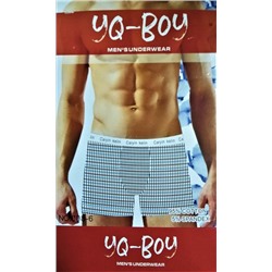 Трусы-боксеры мужские "YQ-BOY", 2 шт, арт.008-6