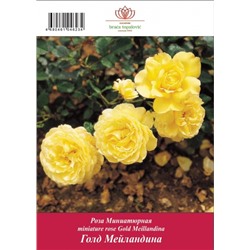 Роза Голден Мейландина миниатюрная ТУБА (БТ)