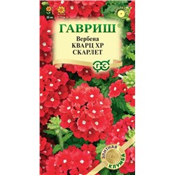 Цена за 2 пакета. Вербена Кварц XP Скарлет гибридная (Гавр)