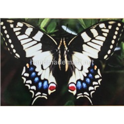 Набор Мозаика Алмазная Вышивка, Бабочка, рисунок с клеевой основой, 28×20 см, Полная выкладка