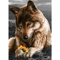 Волк с цветком
