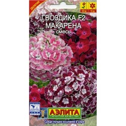 Цена за 2 пакета. Гвоздика турецкая Макарена F2, смесь (Аэлита)