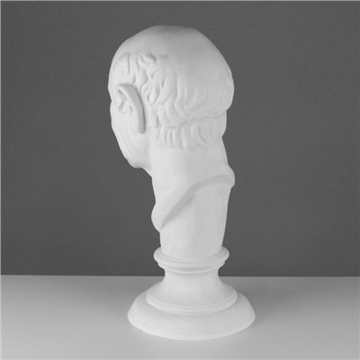 Гипсовая фигура голова римлянина, 25 х 25 х 60 см